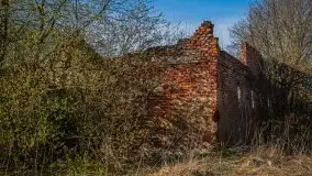 Ruiny Pałacu w Mieduniszkach Wielkich - zdjęcie 71