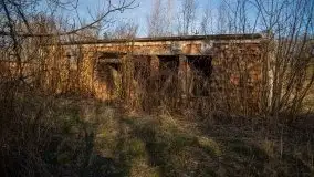 Ruiny Pałacu w Mieduniszkach Wielkich - zdjęcie 74