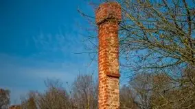 Ruiny Pałacu w Mieduniszkach Wielkich - zdjęcie 80