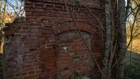 Ruiny Pałacu w Mieduniszkach Wielkich - zdjęcie 82