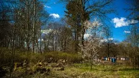 Wopławki - piękny pałac i zagadkowa kaplica - zdjęcie 13