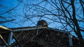 Niszczejąca perełka włoskiej architektury w Silginach - zdjęcie 12