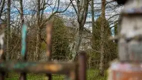 Pałac w Bęsi, na który rzucono klątwę - zdjęcie 21