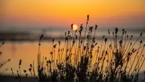 Wschód Słońca, Wilkasy, jezioro Niegocin - zdjęcie 10