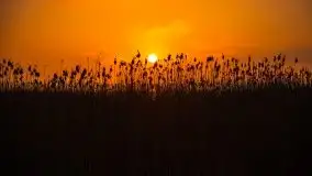 Wschód Słońca, Wilkasy, jezioro Niegocin - zdjęcie 44