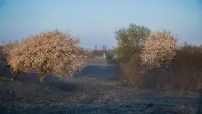 Wschód słońca w Giżycku, ul. Obwodowa - zdjęcie 20