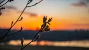 Wschód słońca, jezioro Buwełno - zdjęcie 8