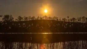 Wschód słońca, jezioro Buwełno - zdjęcie 51