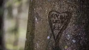 Wiosna w lesie miejskim w Giżycku pod koniec kwietnia - zdjęcie 33