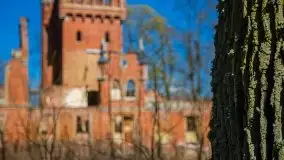 Zdjęcia: Pałac w Prośnie – monumentalna, romantyczna i tajemnicza ruina - zdjęcie 65