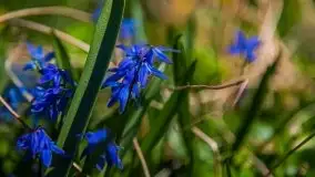 Zdjęcia: Pałac w Prośnie – monumentalna, romantyczna i tajemnicza ruina - zdjęcie 59