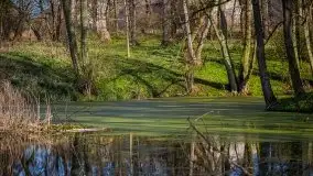 Zdjęcia: Pałac w Skandławkach – do kupienia romantyczna pozostałość dawnych Mazur - zdjęcie 28