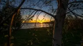 Mazurska i wiosenna flora i fauna na zdjęciach Staszka Sielewicza - zdjęcie 10