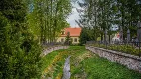 Święta Lipka, wiosna 2020 r. - zdjęcie 52