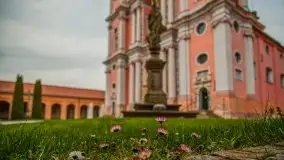 Święta Lipka, wiosna 2020 r. - zdjęcie 12