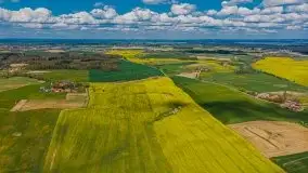 Mazurskie pola rzepaku na początku maja 2020 r. - zdjęcie 26