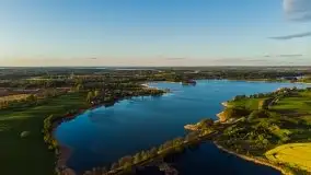 Złoto w kolorach słońca i rzepaku, maj 2020.r - zdjęcie 10