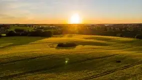 Złoto w kolorach słońca i rzepaku, maj 2020.r - zdjęcie 14