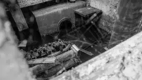 Niemy świadek mazurskich jezior spoczywa koło Rynu - zdjęcie 40