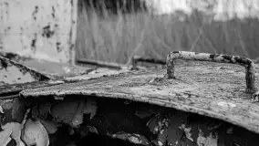 Niemy świadek mazurskich jezior spoczywa koło Rynu - zdjęcie 72