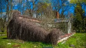 Jeden z piękniejszych pałaców na Mazurach - Łężany - zdjęcie 71