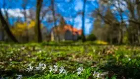 Jeden z piękniejszych pałaców na Mazurach - Łężany - zdjęcie 17