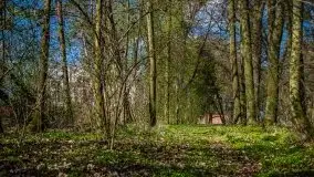 Pałacyk w Rodelach - kolejny świadek historii - zdjęcie 26