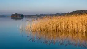 Wschód słońca nad jeziorem Ryńskim, Bocianie Gniazdo - zdjęcie 38