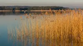 Wschód słońca nad jeziorem Ryńskim, Bocianie Gniazdo - zdjęcie 62