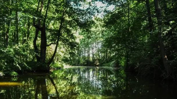 Zdjęcia: Poradnik motorowodny, skuterem i jachtem motorowym przez Mazury - jezioro Mamry - zdjęcie 6