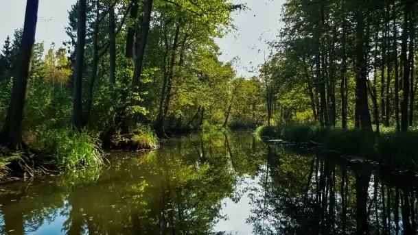 Zdjęcia: Poradnik - motorowodne Mazury - jeziora Święcajty, Stręgiel - zdjęcie 9