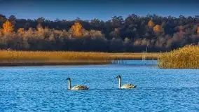 Zdjęcia: Poradnik - motorowodne Mazury - jezioro Dargin - zdjęcie 23