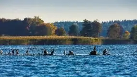 Zdjęcia: Poradnik - motorowodne Mazury - jezioro Niegocin - zdjęcie 6
