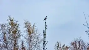 Zdjęcia: Poradnik - motorowodne Mazury - kanały między jeziorami Szymoneckie i Tałty - zdjęcie 16