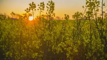 Wschód to nie tylko słońce, to także przejmująca cisza