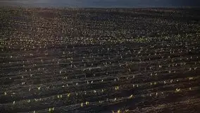 Wschód to nie tylko słońce, to także przejmująca cisza - zdjęcie 26