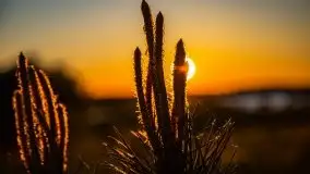 Zachód słońca widoczny z Grodzisko Święta Góra - zdjęcie 47