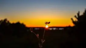 Zachód słońca widoczny z Grodzisko Święta Góra - zdjęcie 51