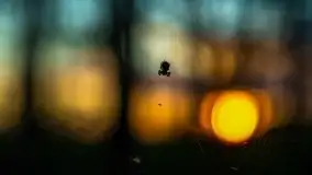 Kolejny raz magia zachodu słońca, okolice jez. Jagodne - zdjęcie 42