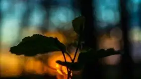 Kolejny raz magia zachodu słońca, okolice jez. Jagodne - zdjęcie 27