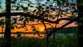 Kolejny raz magia zachodu słońca, okolice jez. Jagodne - zdjęcie 3