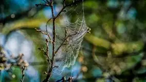 Miłośnicy Mazur - majowe Mazury na zdjęciach Staszka Sielewicza - zdjęcie 7