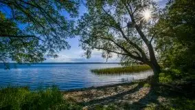 Miłośnicy Mazur - majowe Mazury na zdjęciach Staszka Sielewicza - zdjęcie 15