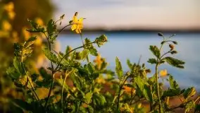 Majowy zachód słońca nad jeziorem Dargin - zdjęcie 16