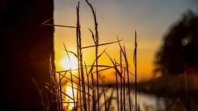 Majowy zachód słońca nad jeziorem Dargin - zdjęcie 28