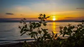 Majowy zachód słońca nad jeziorem Dargin - zdjęcie 32