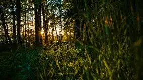 Zachód słońca w okolicy Kut i jeziora Czarna Kuta - zdjęcie 4