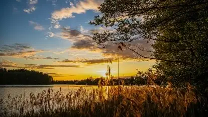 Zachód słońca w okolicy Kut i jeziora Czarna Kuta