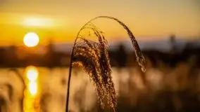 Zachód słońca w okolicy Kut i jeziora Czarna Kuta - zdjęcie 35