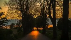 Zachód słońca w okolicy Kut i jeziora Czarna Kuta - zdjęcie 14